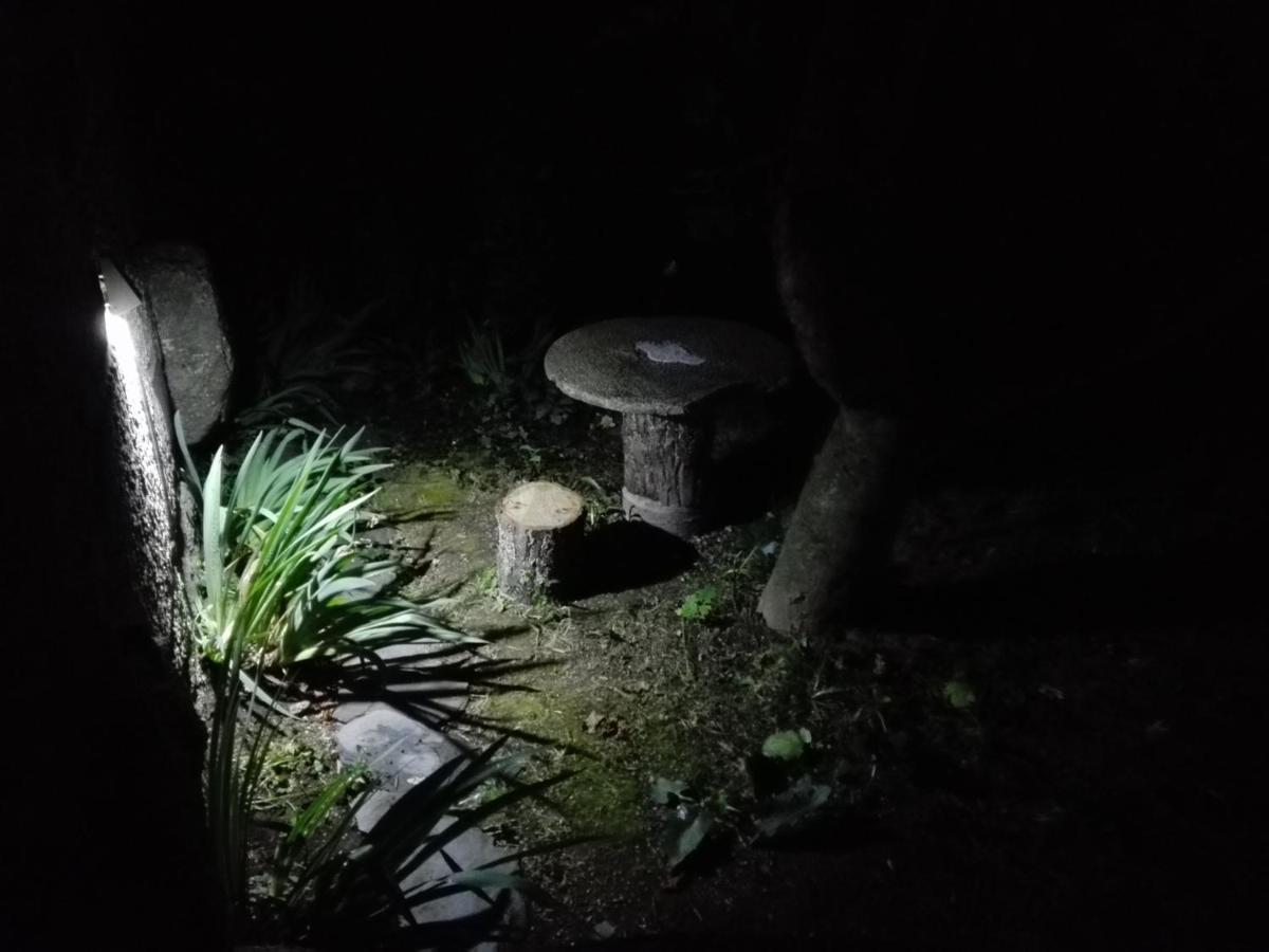 Lagar Da Silveira Lägenhet Penafiel Exteriör bild